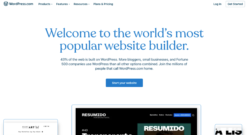 wordpress web developer